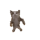 happycat emote
