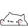 bongocat emote