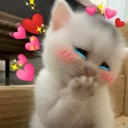 Couple emote