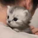 SadXilo emote