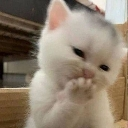 emoji_41 emote