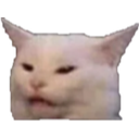 whatcat emote