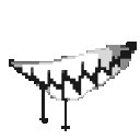 2xbite emote