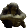 MODS Emote