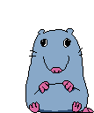StupidRatte emote