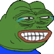 PepeNotFunny Emote