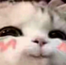 vuvi emote