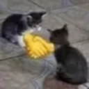 bros emote