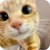 5765cutecat emote