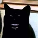 z_hehe emote