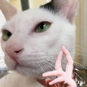 lol Emote