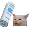 Bonk_Dot_GG_femboiss emote