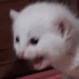 aaaaaa emote