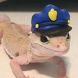 Gecko_Police emote