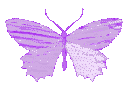 purple_butterfly emote
