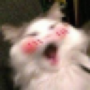 a_catblush emote