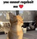 emoji_40 Emote