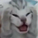 panicking emote