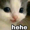 s_hehecat emote