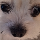 f_nowayy Emote