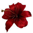 007_redflower emote