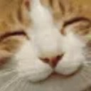 lbc_KittyHappy Emote