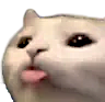 cattongue Emote
