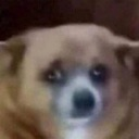 emoji_45 emote