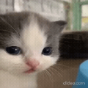 jonathan emote