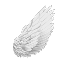 2angelwings Emote