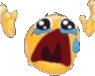 noooooooo emote