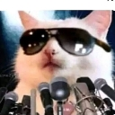 emoji_30 emote