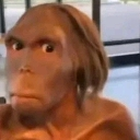 WhatTheHell Emote