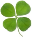 04clover emote