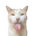bleh emote