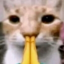 Sorry Emote