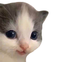 7303hehe emote