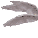 338918benotafraid1 Emote