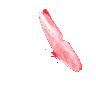 Butterfly emote