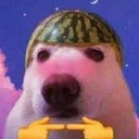 V_watermelondogshy emote
