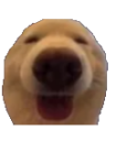 dawg Emote