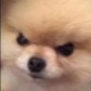 Angry Emote