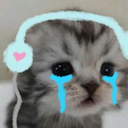 cry_cat Emote