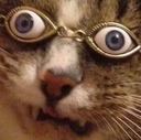isee emote
