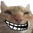 catto emote