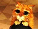 kittyshre_ emote