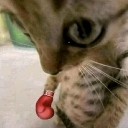chetwt Emote