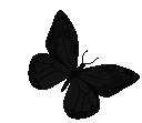 butterfly emote