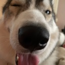 d_Wink emote