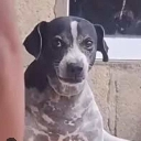 naughty Emote